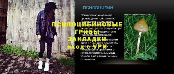 таблы Белокуриха