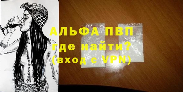 стаф Надым