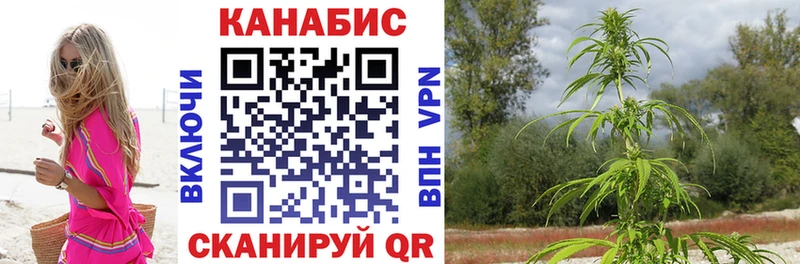 Канабис гибрид  Купить  Куса 
